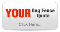 Dog Fence Quote