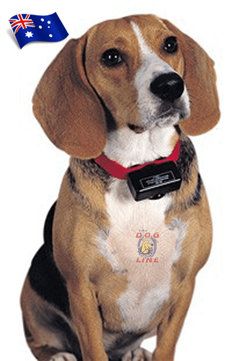 An easy to use dog bark collar that corrects dog's nuisance barking