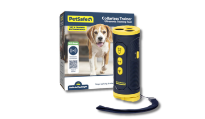 PetSafe Collarless Ultrasonic Remote Trainer PDT10-18215