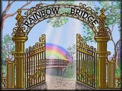 The Rainbow Bridge Gate