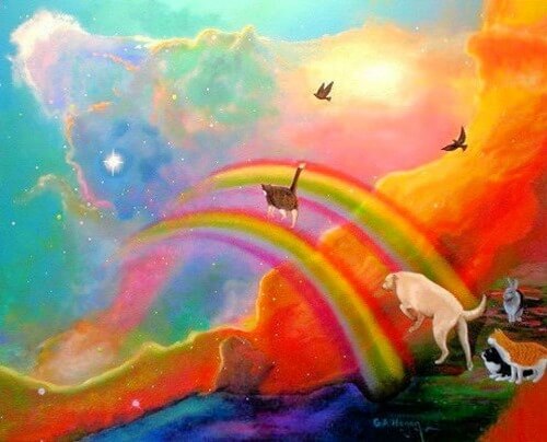 Rainbow Bridge Pets