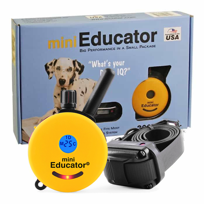 mini educator dog collar