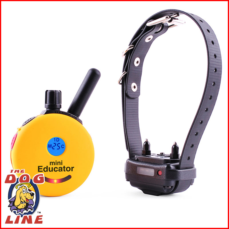 educator et-300ts mini dog trainer