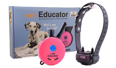 extra small shock collar