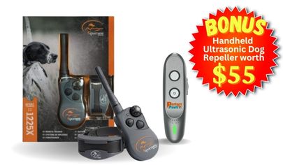 SportDOG 2 Dog FieldTrainer SD-425X Remote Trainer Combo – Outdoor