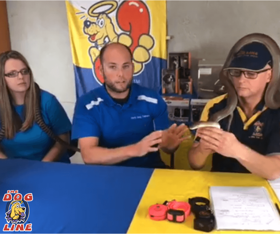 Colin, TDL TV host, holding a snake with Emma and Seth Pywell