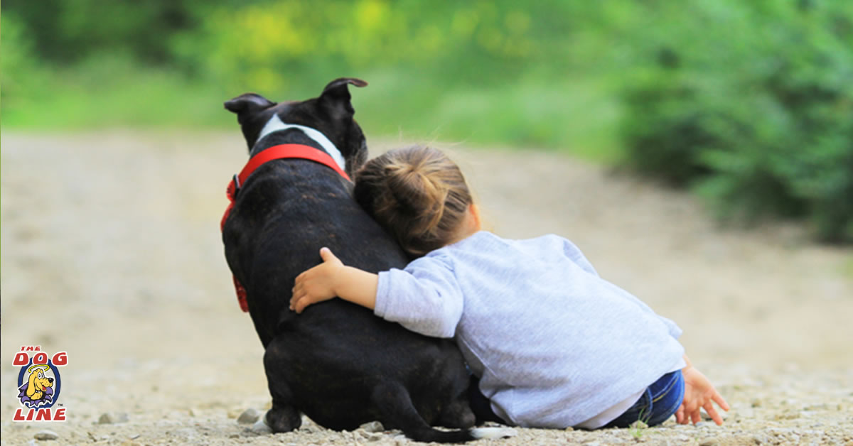 the dog line blog
